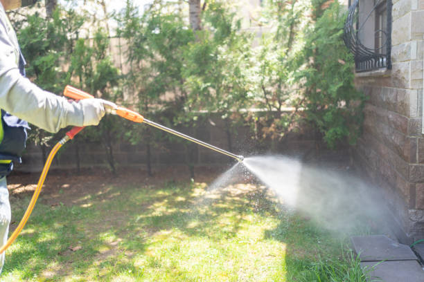 Best Fumigation Services  in Williamsport, OH